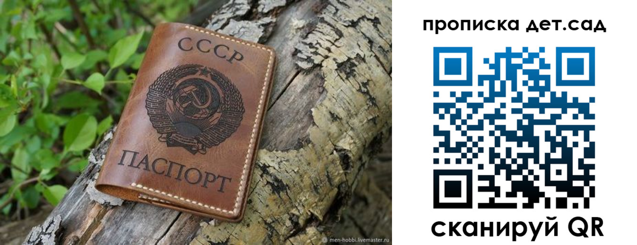 прописка иностранных граждан в Алексеевке
